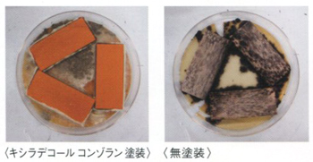防腐・防カビ・防虫効果